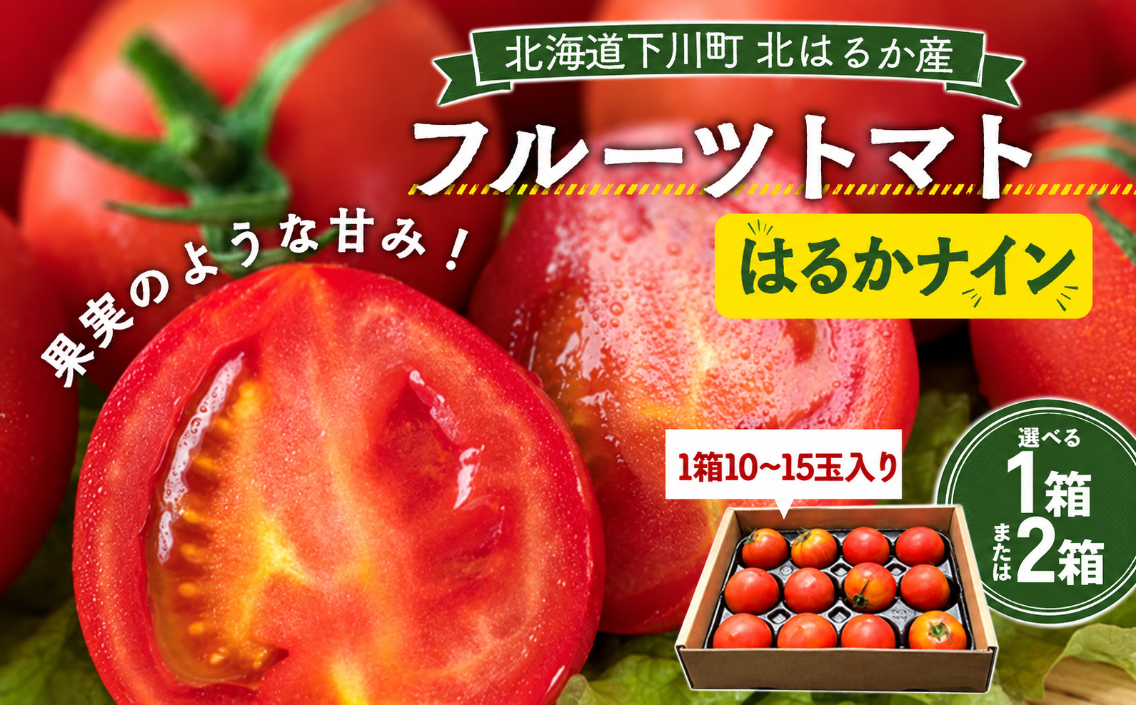 新ブランド「はるかナイン」誕生～下川町フルーツトマトの新たな輝き～
